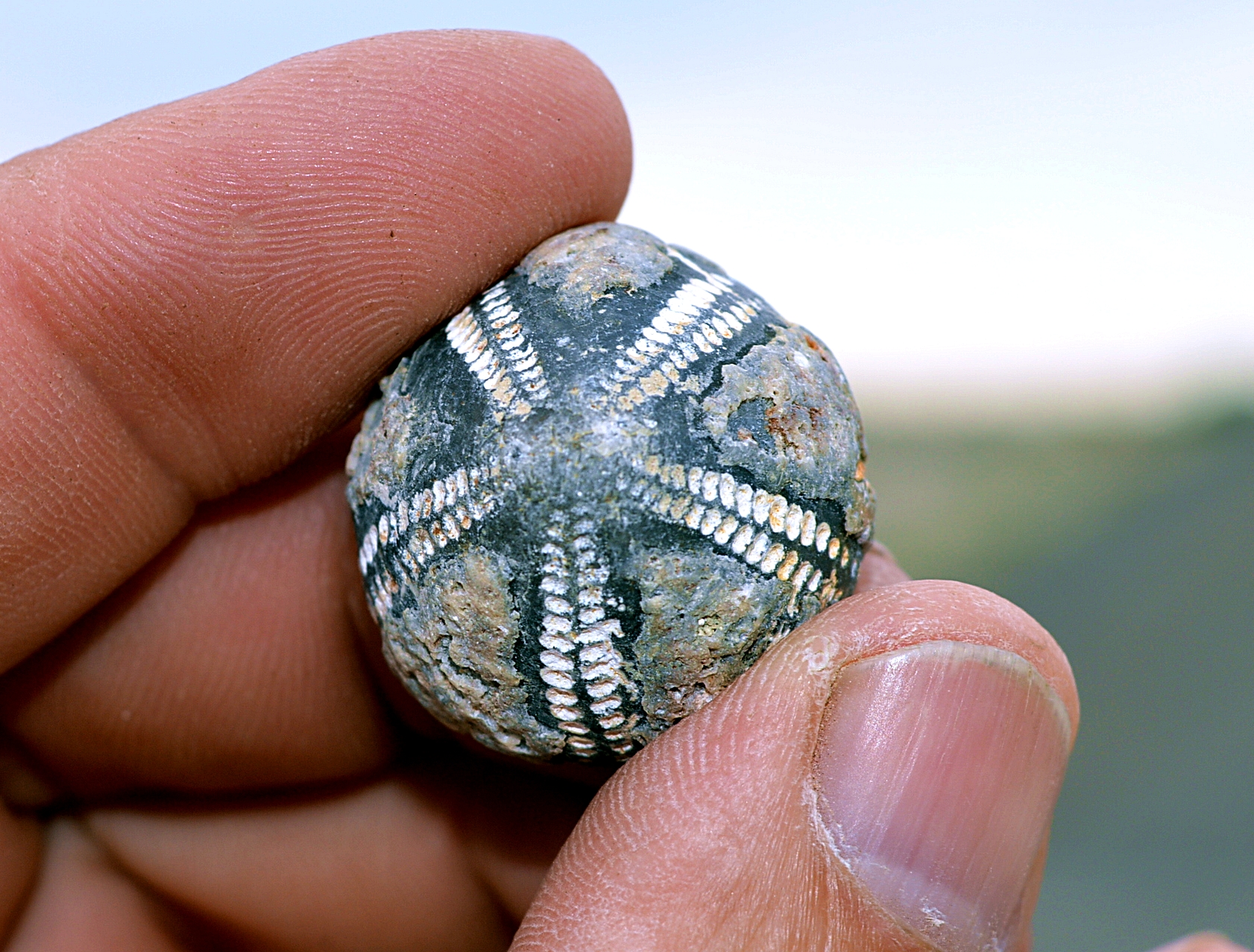 Familienexkursion Zweedorf Events und Tickets vom Geopark